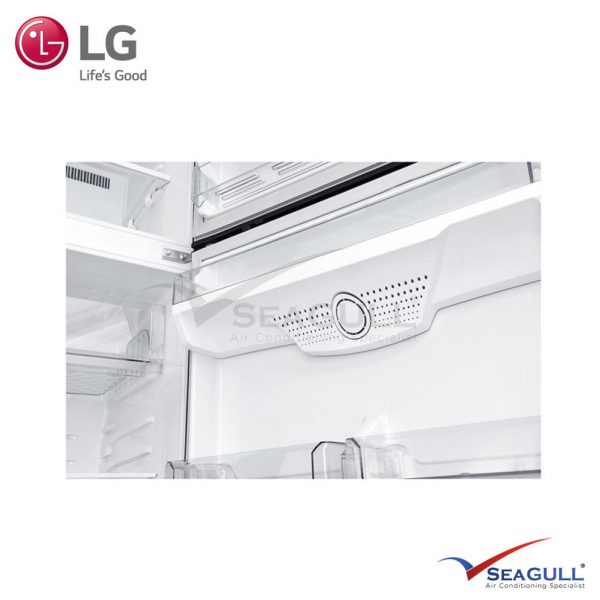 LG IEC Gross 516L Black Steel Top Freezer With Inverter Linear Compressor & Doorcooling+ - Image 3